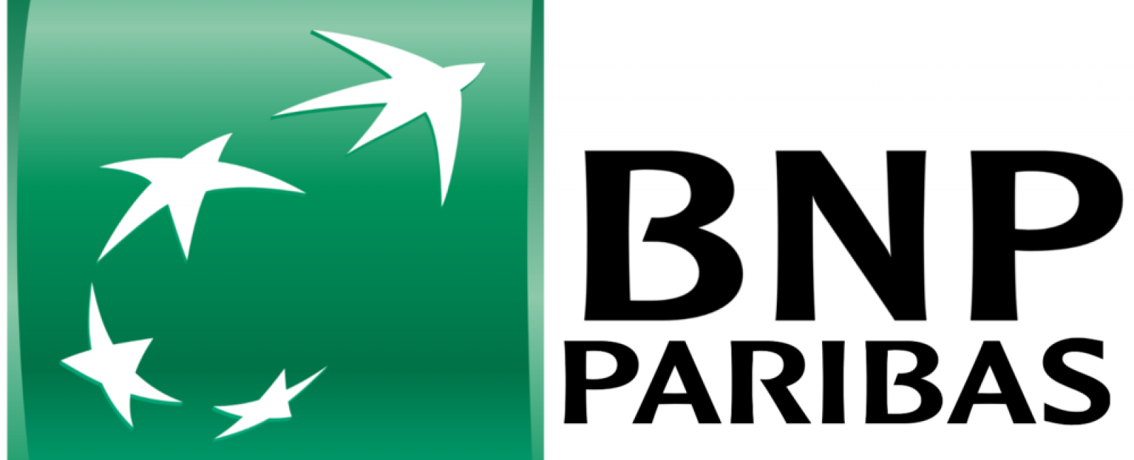 BNP.png