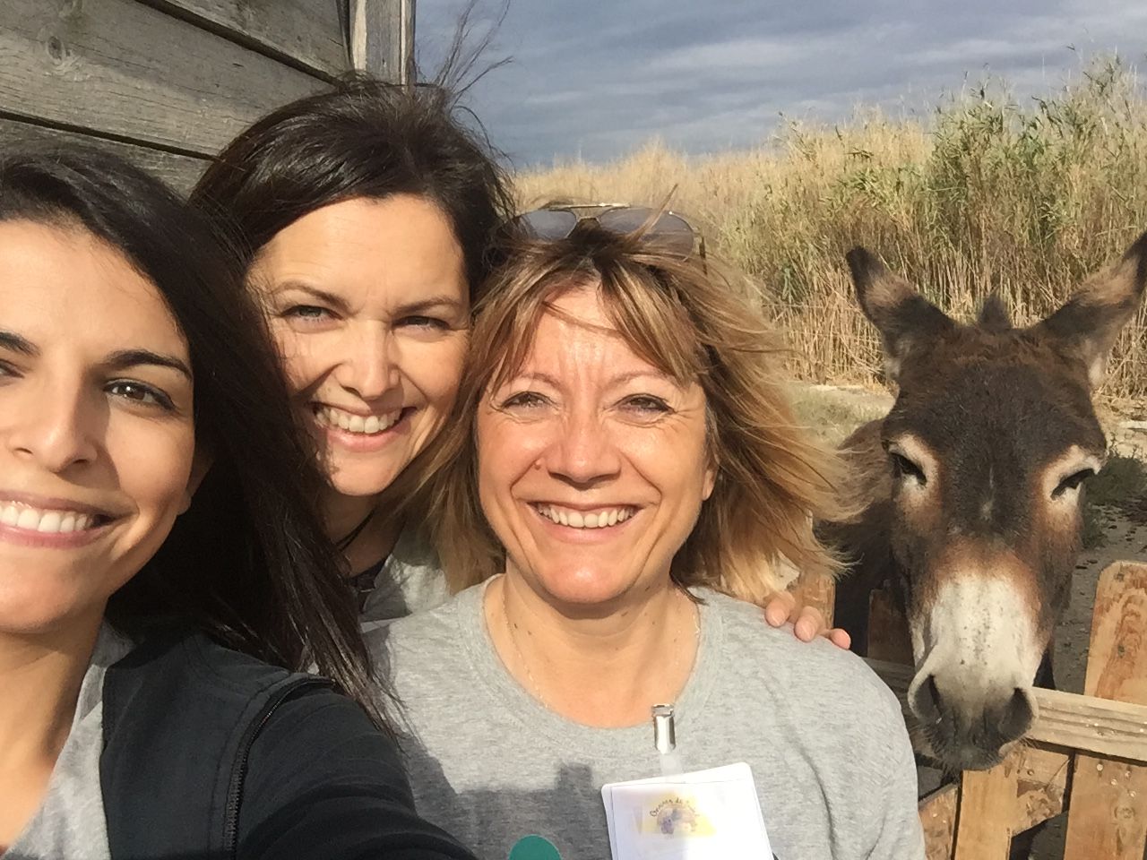 4a0ddb1093d465df9747ea210811dd46-2017101913-52-07