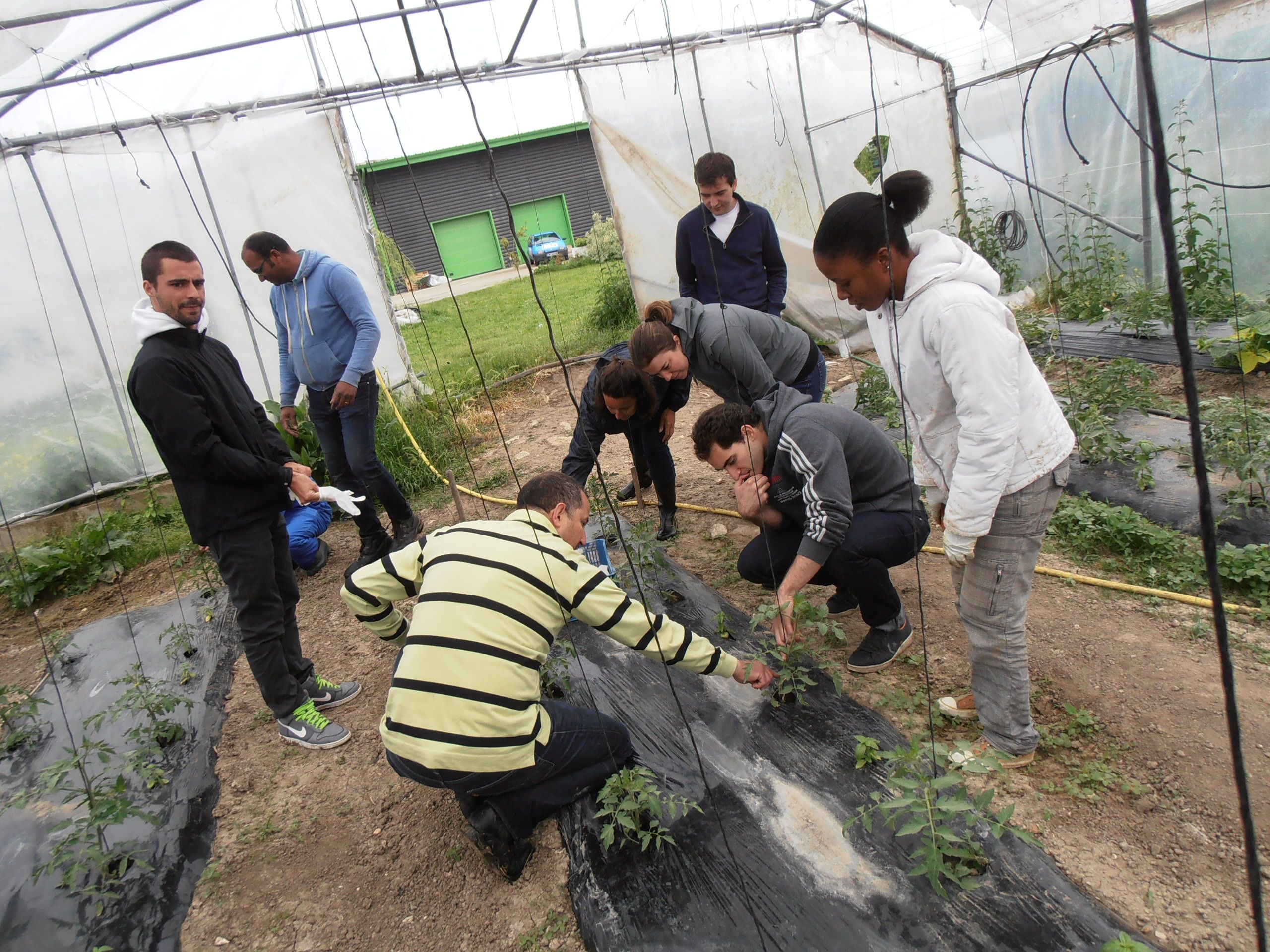 Tikehau 2010 - jardinage