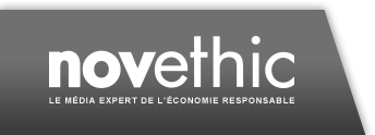 Logo de Novethic